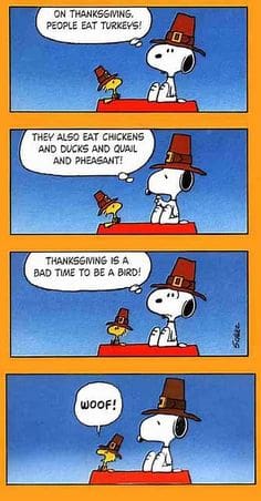 charlie brown thanksgiving snoopy meme charlie brown thanksgiving snoopy meme