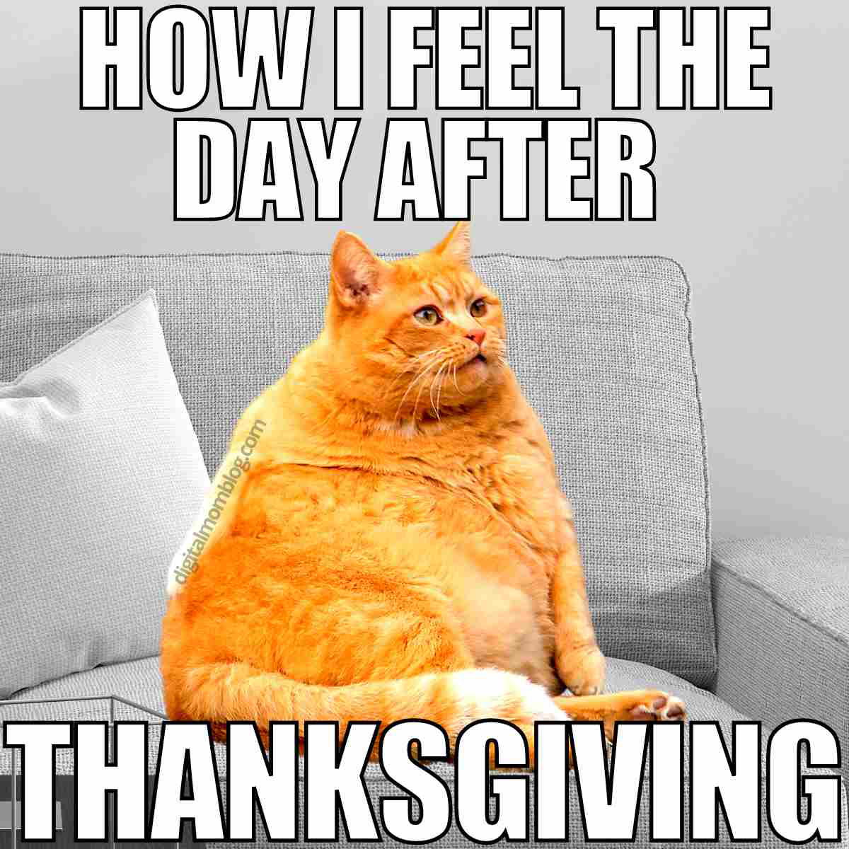 how i feel the day after thanksgiving