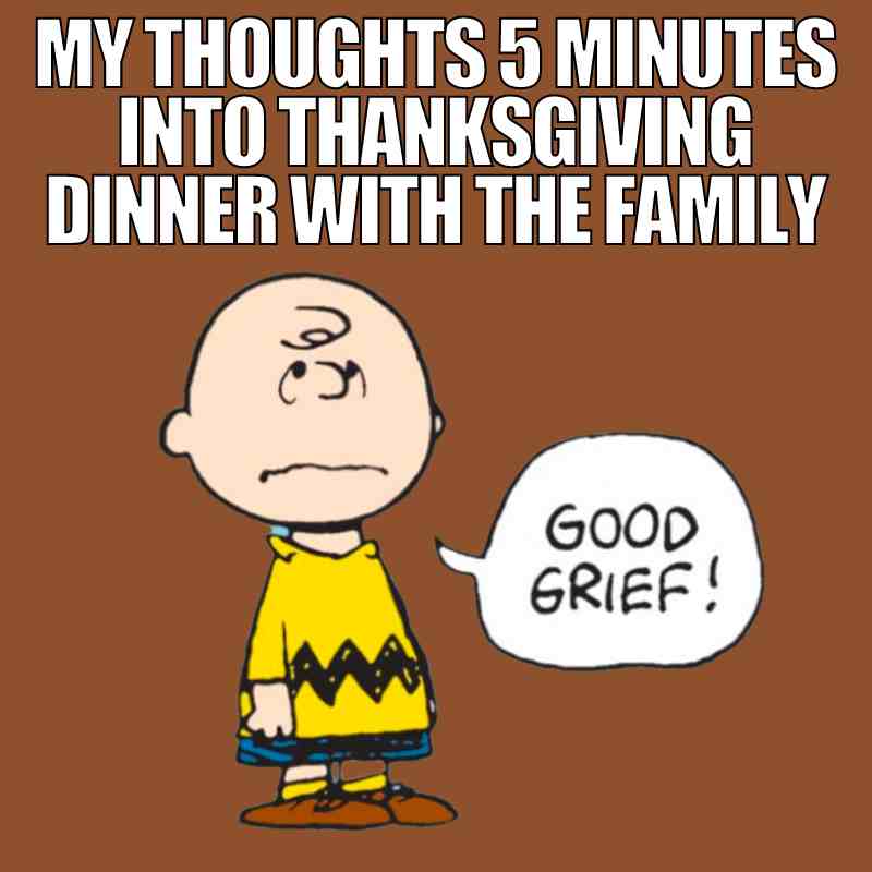 funny family thanksgiving meme charlie brown good grief says charlie brown when thinking about family politics at thanksgiving dinner