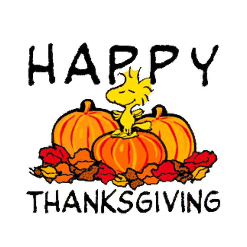 happy thanksgiving meme woodstock charlie brown happy thanksgiving meme woodstock charlie brown