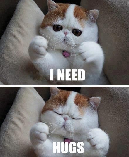 need a hug meme needahugmeme
