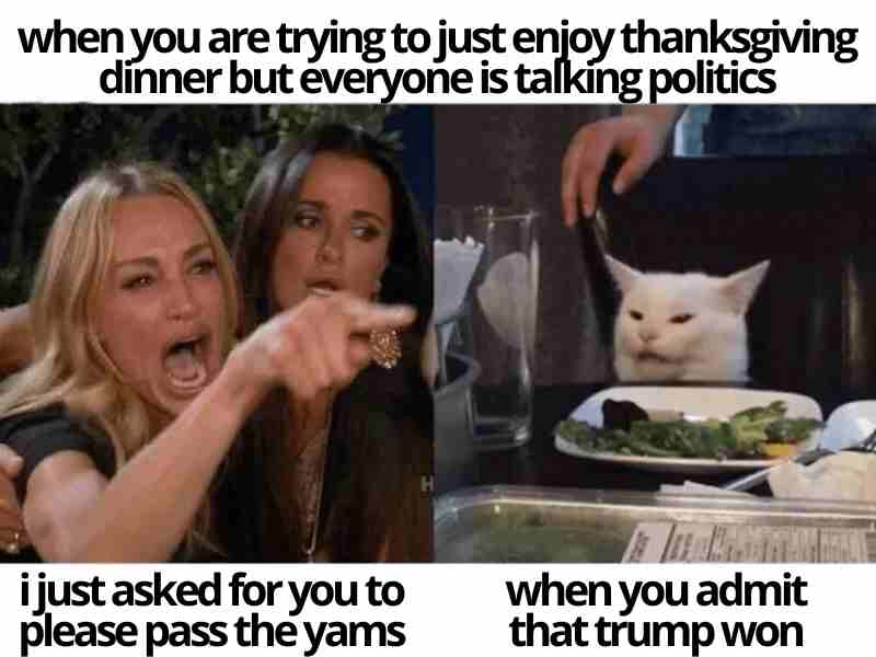 political thanksgiving meme when you are trying to just enjoy thanksgiving dinner but everyone is talking politics