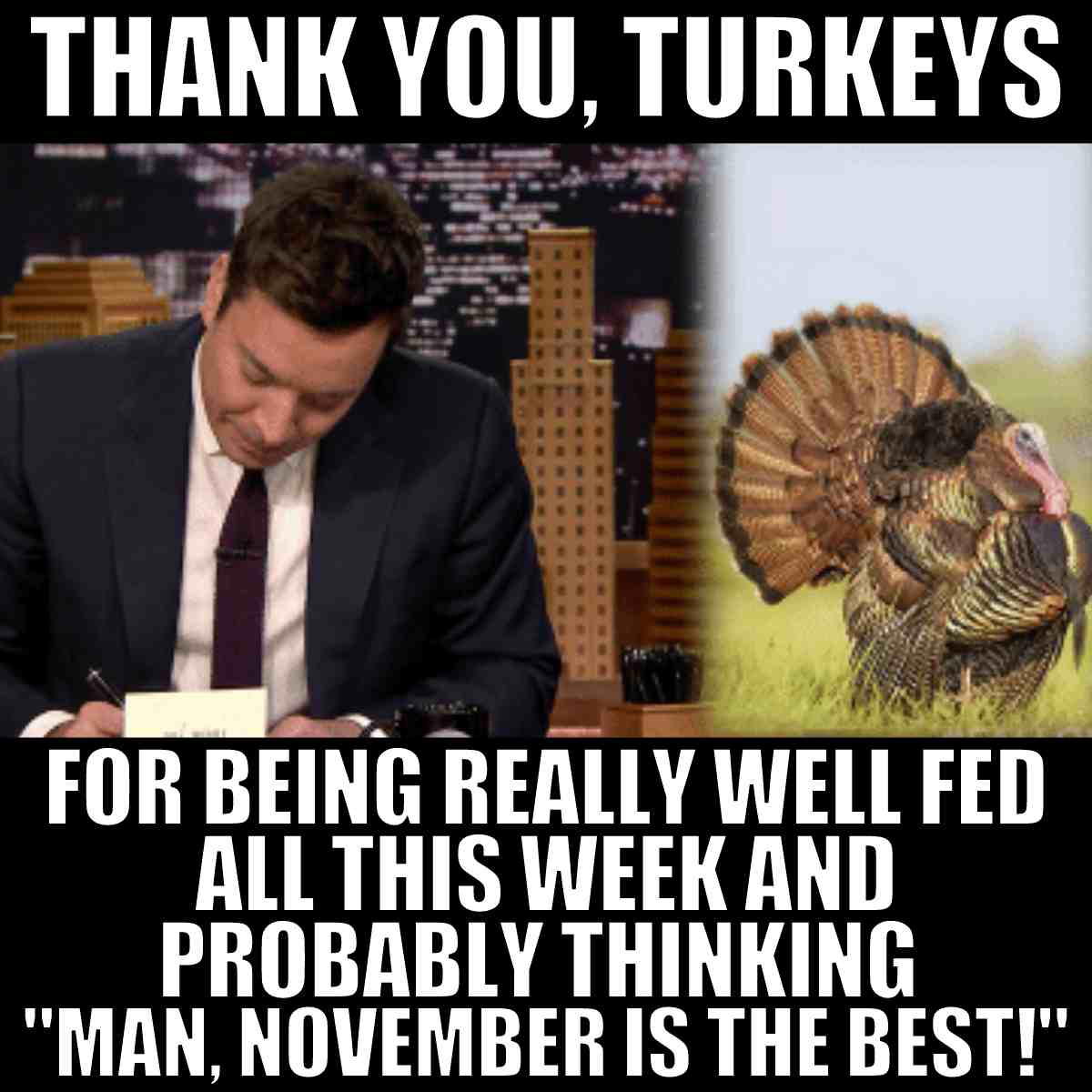 thanksgiving turkey meme thank you turkeys for being really well fed all this week and probably thinking man november is the best
