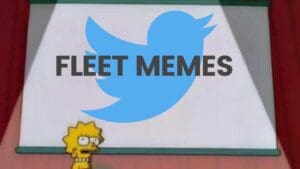 twitter fleet memes