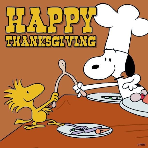 wishbone snoopy woodstock meme wishbone snoopy woodstock meme