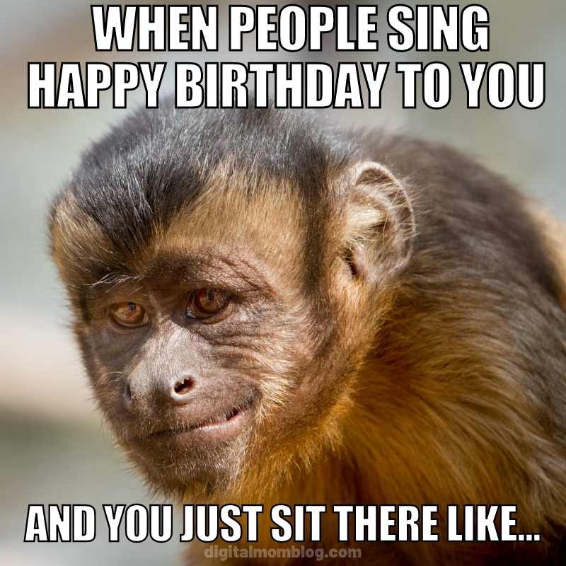 monkey birthday meme Monkey meme showing a monkey with a half-smile looking awkward, captioned: 'WHEN PEOPLE SING HAPPY BIRTHDAY TO YOU AND YOU JUST SIT THERE LIKE...' portraying the awkwardness during birthday serenades.