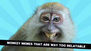 A smiling monkey against a bright blue background with rays, accompanied by the caption 'MONKEY MEMES THAT ARE WAY TOO RELATABLE' in bold text at the bottom.