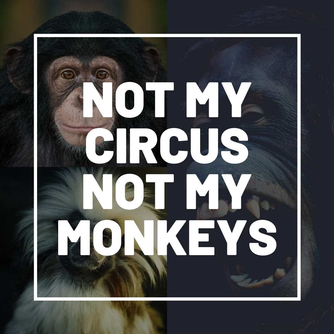 Meme featuring a serious chimpanzee and a grinning monkey, overlaid with the text 'Not My Circus, Not My Monkeys,' humorously disclaiming responsibility like a pro.