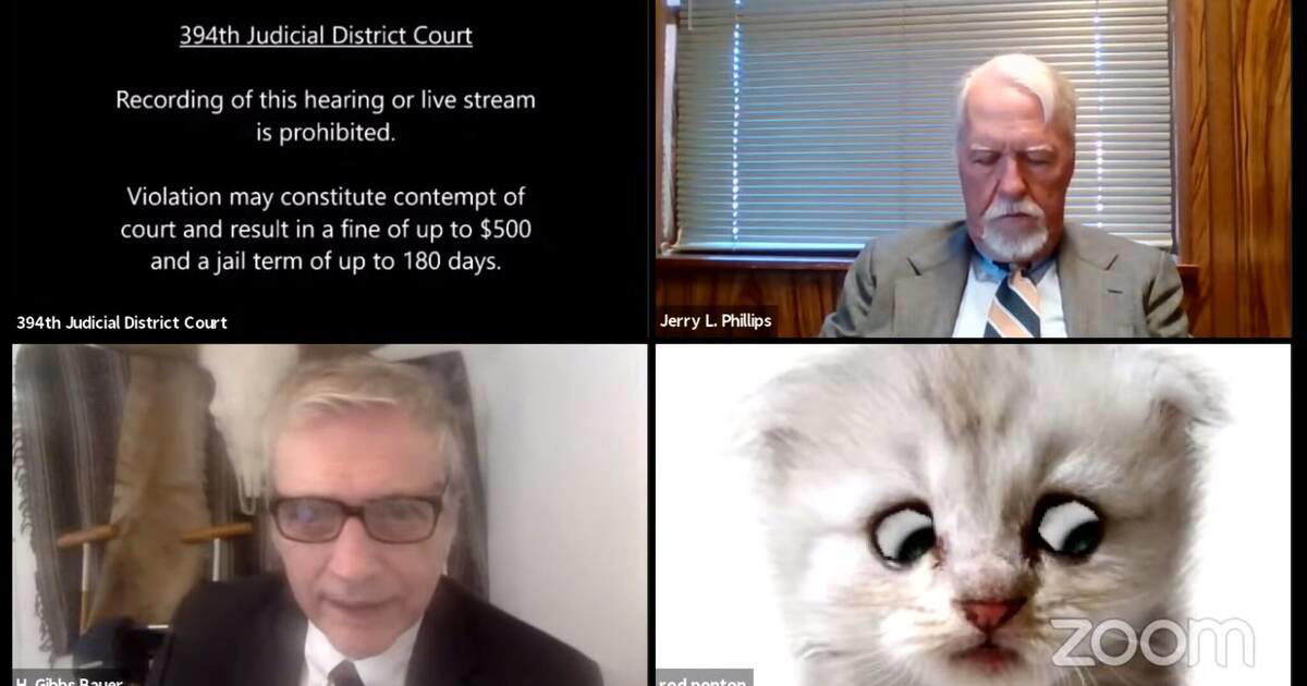 cat lawyer zoom meme Meme from a virtual court meeting featuring a lawyer with a cat filter on, humorously disrupting serious proceedings.