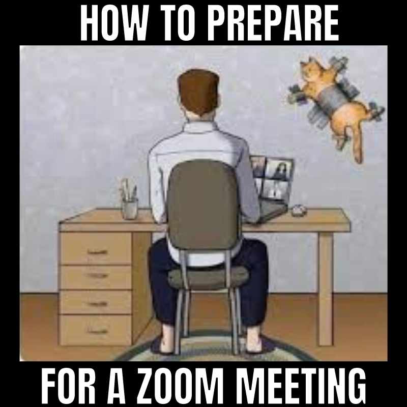 cat zoom meme Meme titled 'How to Prepare for a Zoom Meeting' showing a person seemingly ready for a conference call while a cat is ducttaped to the wall, adding a comedic twist to workfromhome challenges.
