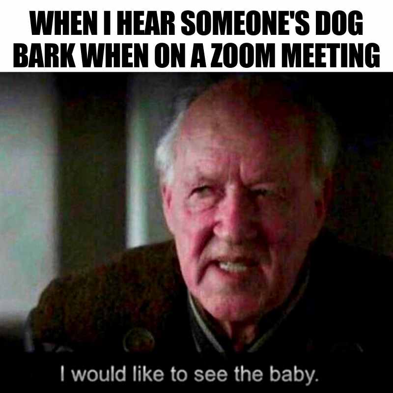 dog zoom meme Meme image with the text 'When I hear someone's dog bark when on a Zoom meeting' over a scene of an older man eagerly saying, 'I would like to see the baby.' Perfect blend of virtual meeting humor and unexpected canine cameos.
