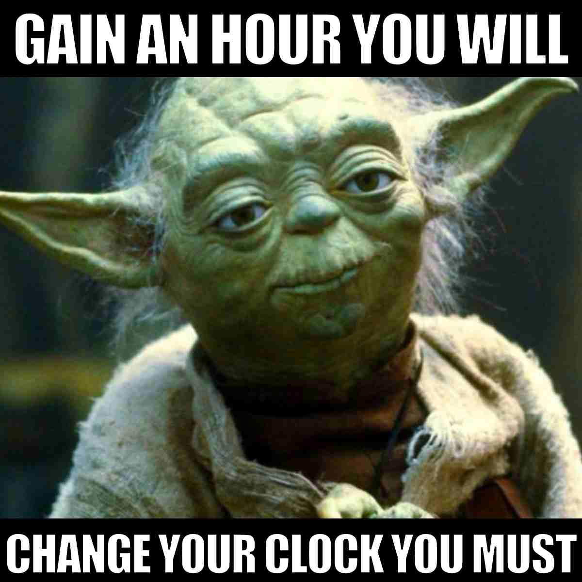 fall daylight savings time meme Humorous meme of Yoda from Star Wars advising, 'Gain an hour you will, change your clock you must,' in reference to daylight saving time.