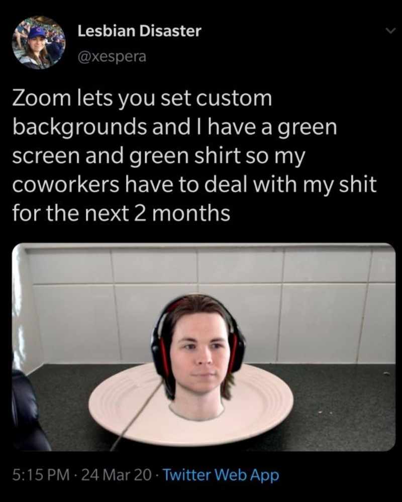 virtual background zoom meeting meme Meme of a person using Zoom with a floating head effect due to a green screen, making them look like a disembodied head on a plate, combining humor and the quirks of online meetings.