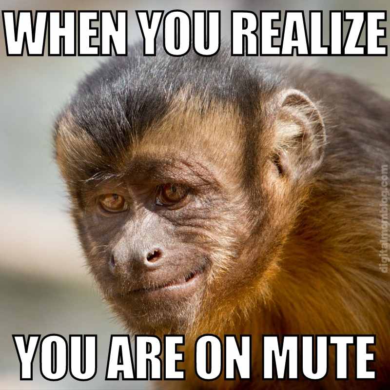 you are on mute meme you are on mute meme