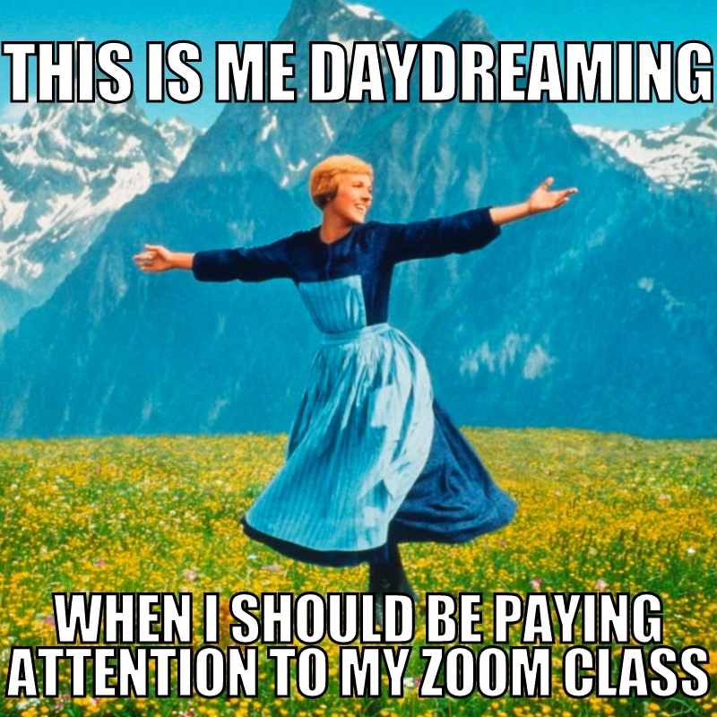 zoom class meme funny Meme showing a person in a meadow twirling joyfully, with text: 'This is me daydreaming when I should be paying attention to my Zoom class.'