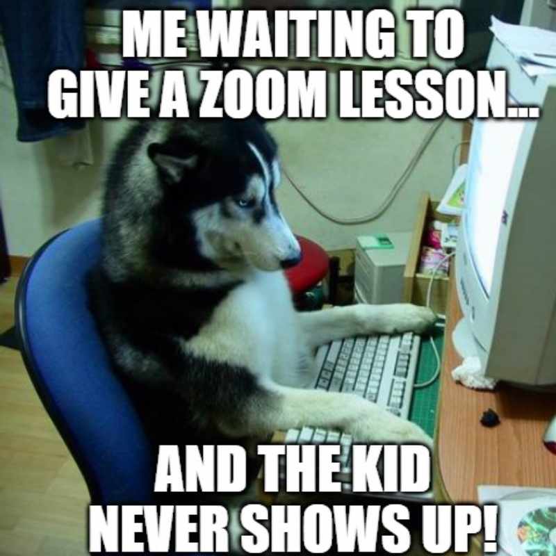 zoom class meme Meme of a dog looking like it's teaching a Zoom class, captioned "Me waiting to give a Zoom lesson… And the kid never shows up!" creating a humorous scenario of virtual confusion.