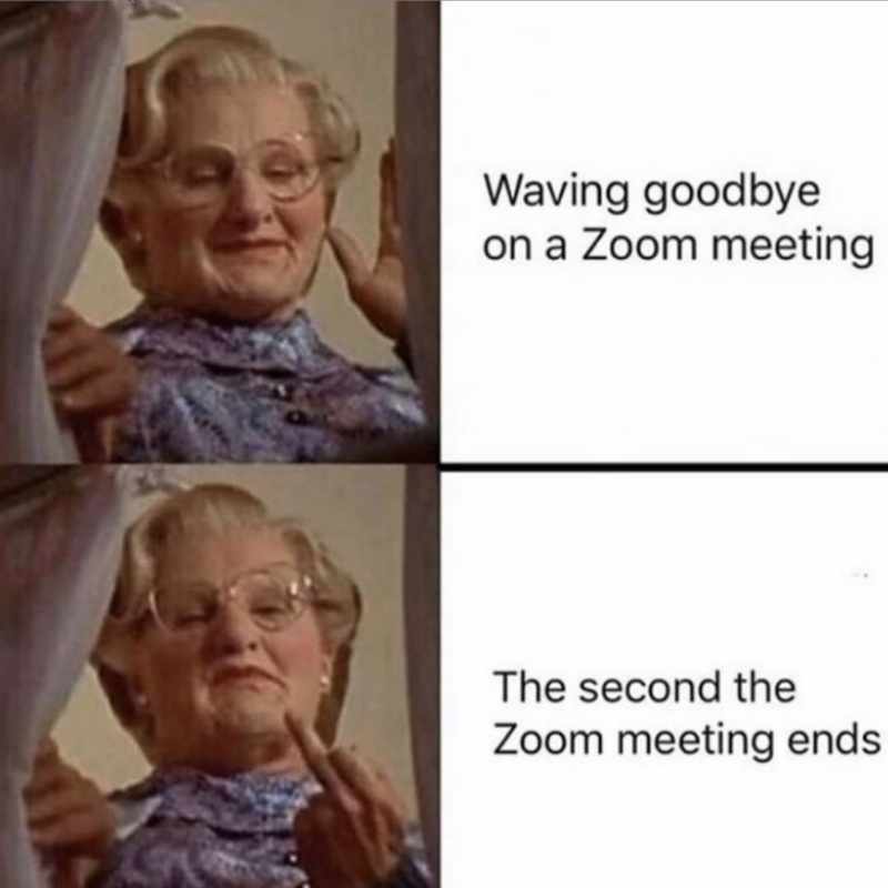 zoom meeting humor zoom meeting humor