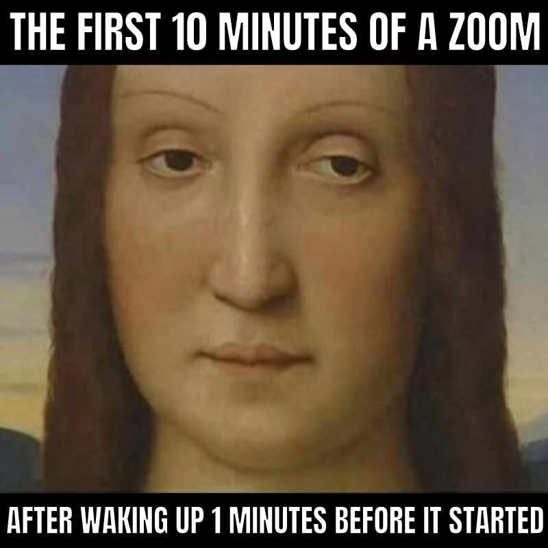 zoom meme waking up Meme showing a classic painting face with a blank expression, captioned with 'The first 10 minutes of a Zoom after waking up 1 minute before it started,' humorously capturing the groggy start to virtual meetings.