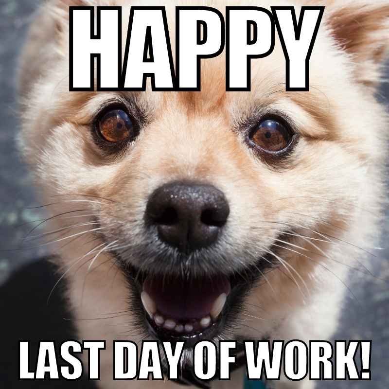 happy last day of work meme Happy last ay of work meme of an ecstatic dog with the text "Happy Last Day of Work!" perfectly capturing the joy every employee feels when clocking out for the last time.