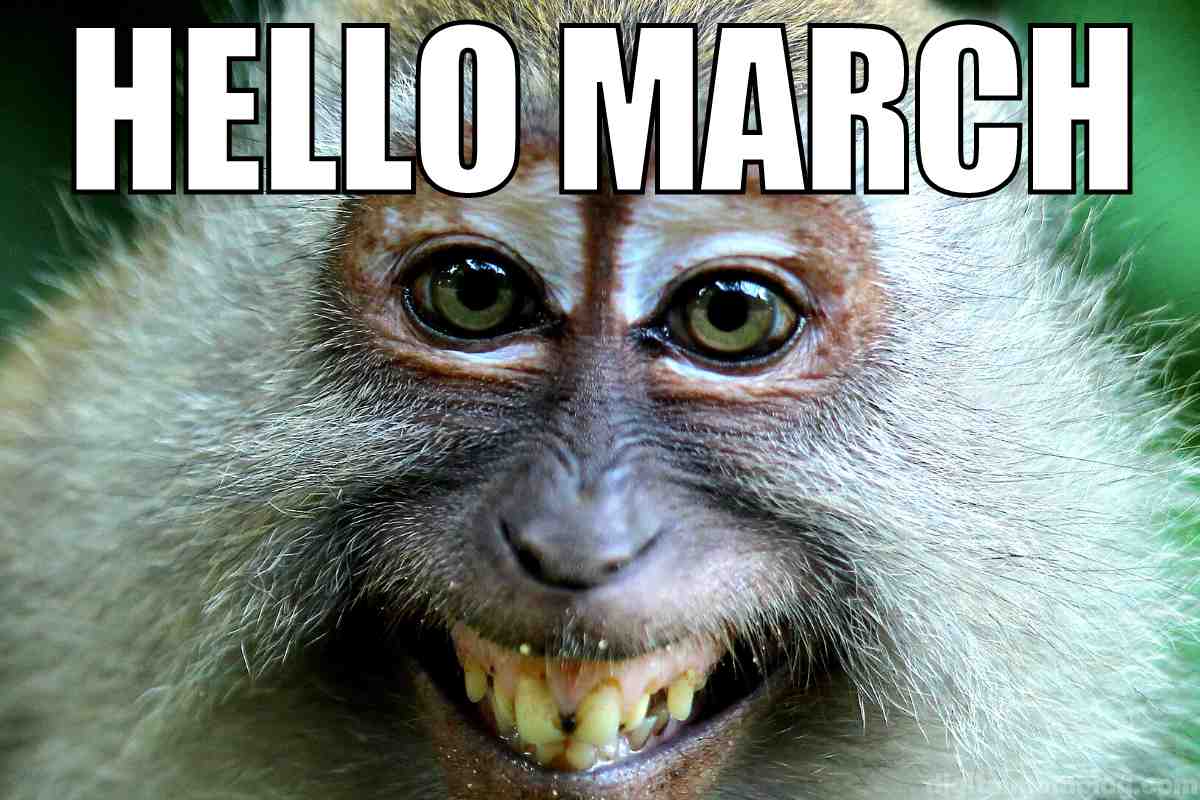 hello march meme Close-up of a grinning monkey with text 'Hello March' above, cheekily welcoming the new month with an expression that says, 'Buckle up for a wild ride!'