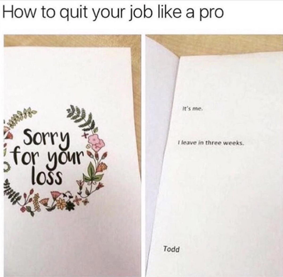 how to quit your job meme Humorous meme titled 'How to quit your job like a pro' featuring a twopanel image with a card; the first panel shows 'Sorry for your loss' on a floral background, and the second panel reveals a resignation note saying 'It's me. I leave in three weeks. Todd.'