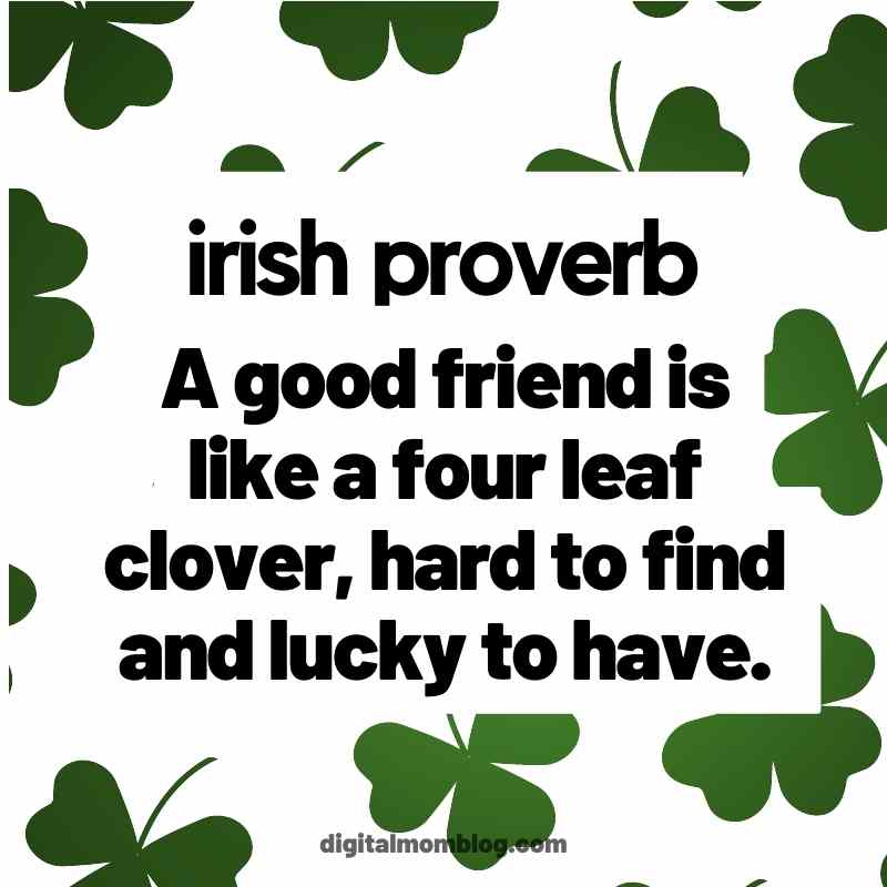 irish proverbs meme