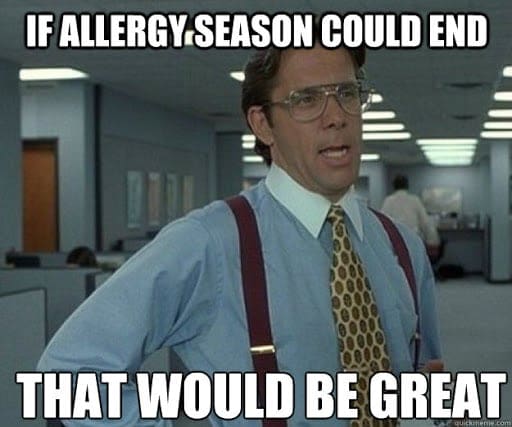 allergy season end meme Meme shows a man in an office with text: 'If allergy season could end, that would be great,' capturing the humorous frustration with persistent allergies.