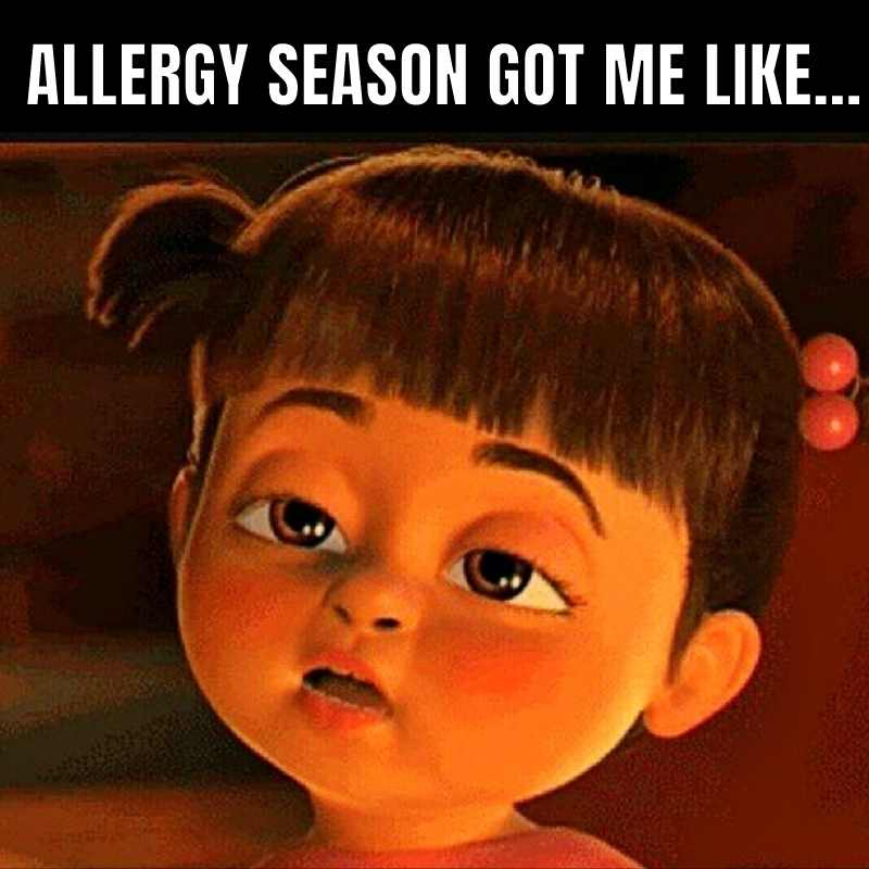 allergy season got me like meme Meme showing a cartoon character with tired, puffy eyes and the caption 'Allergy season got me like...' capturing the struggle against allergies humorously.