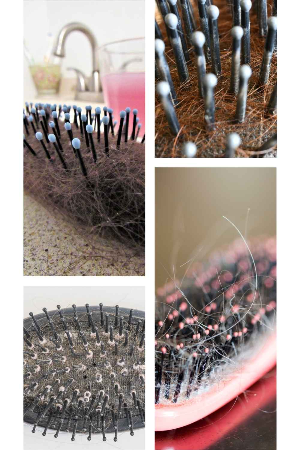dirty hairbrushes dirty hairbrushes