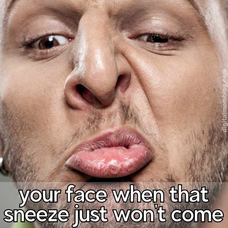 face sneeze meme face sneeze meme