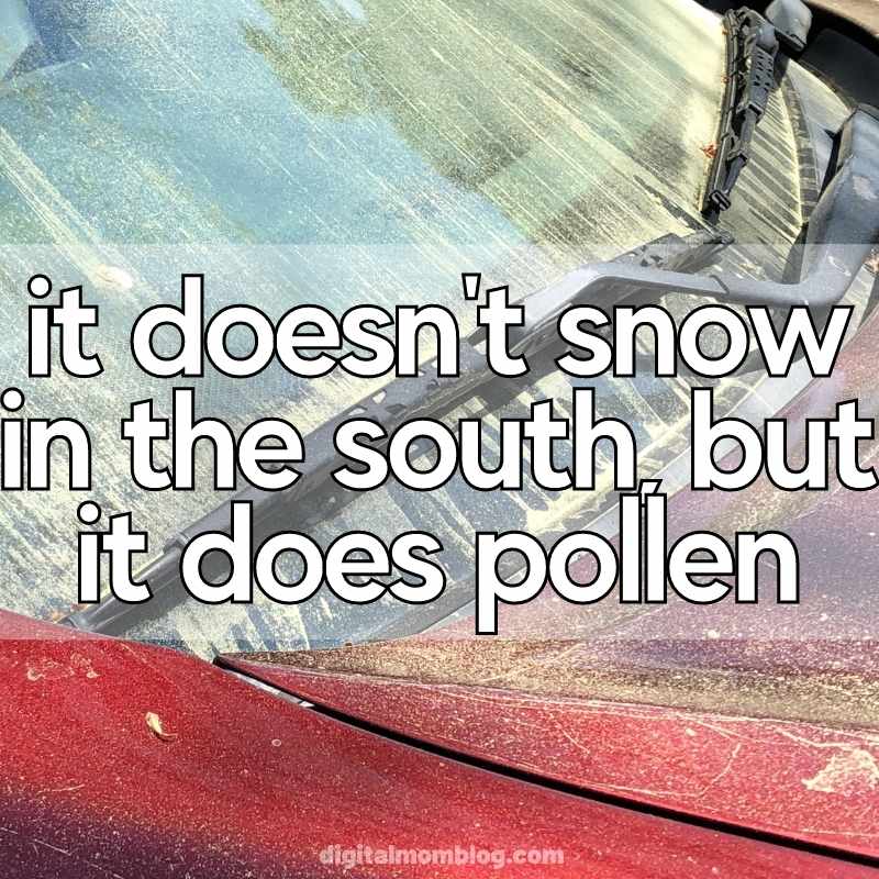 funny pollen meme in the south funny pollen meme in the south