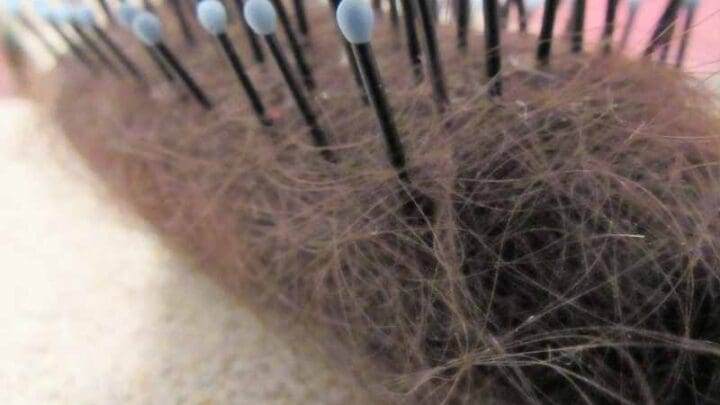 how to clean dirty hairbrush how to clean dirty hairbrush