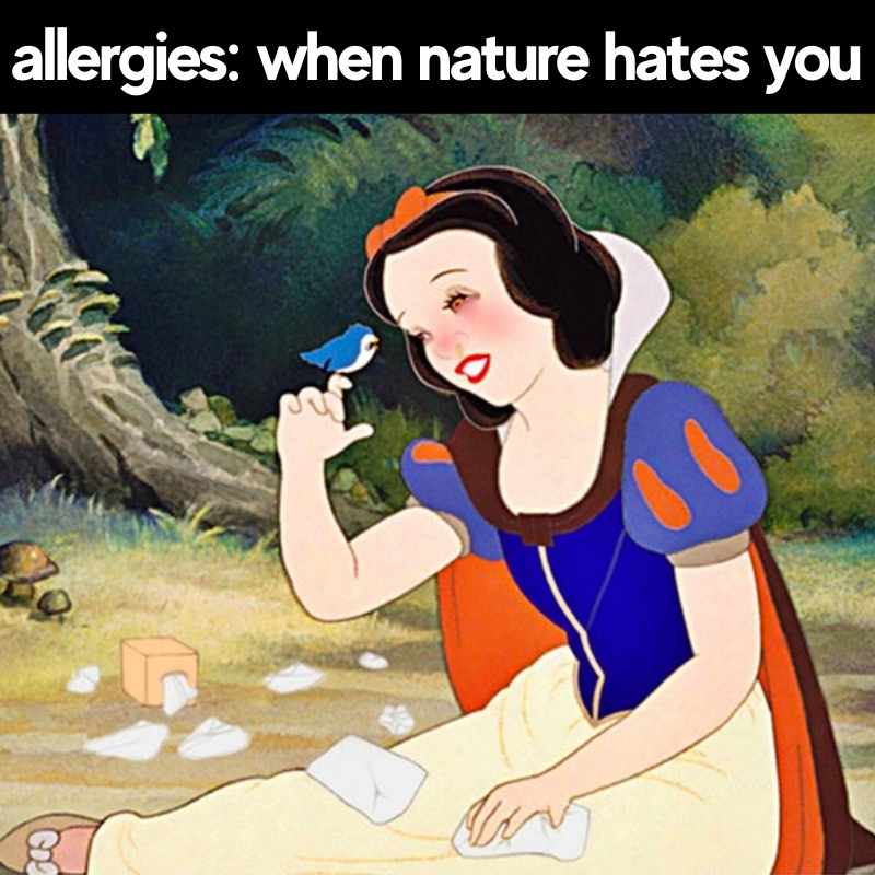 nature allergies meme nature allergies meme