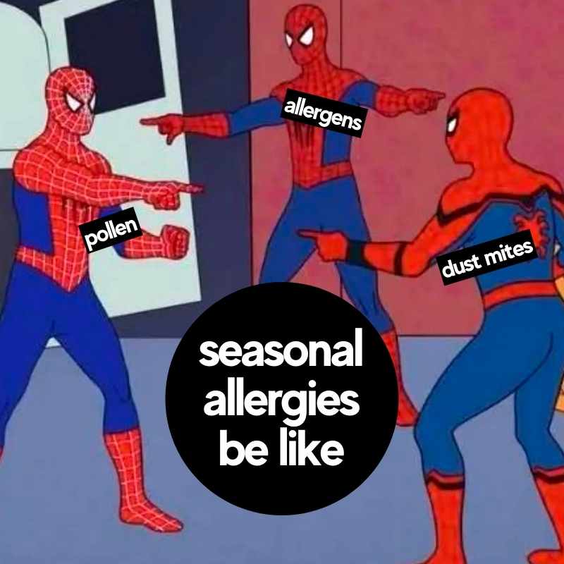 seasonal allergies be like meme seasonal allergies be like meme