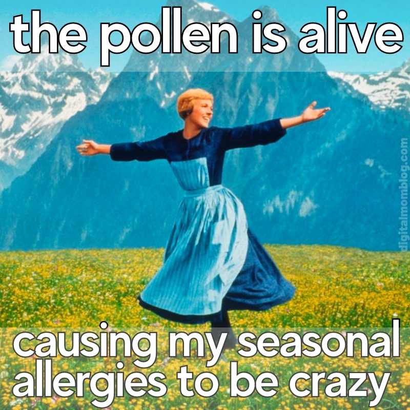 seasonal allergies meme funny pollen seasonal allergies meme funny pollen