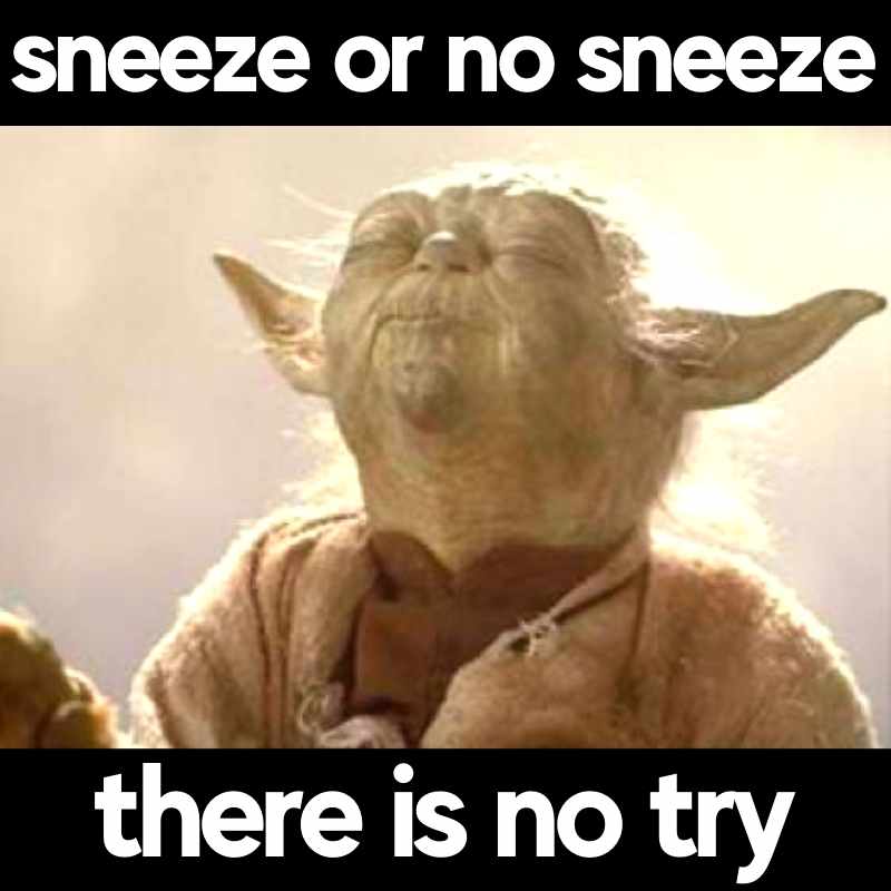 sneezing meme yoda funny sneezing meme yoda funny