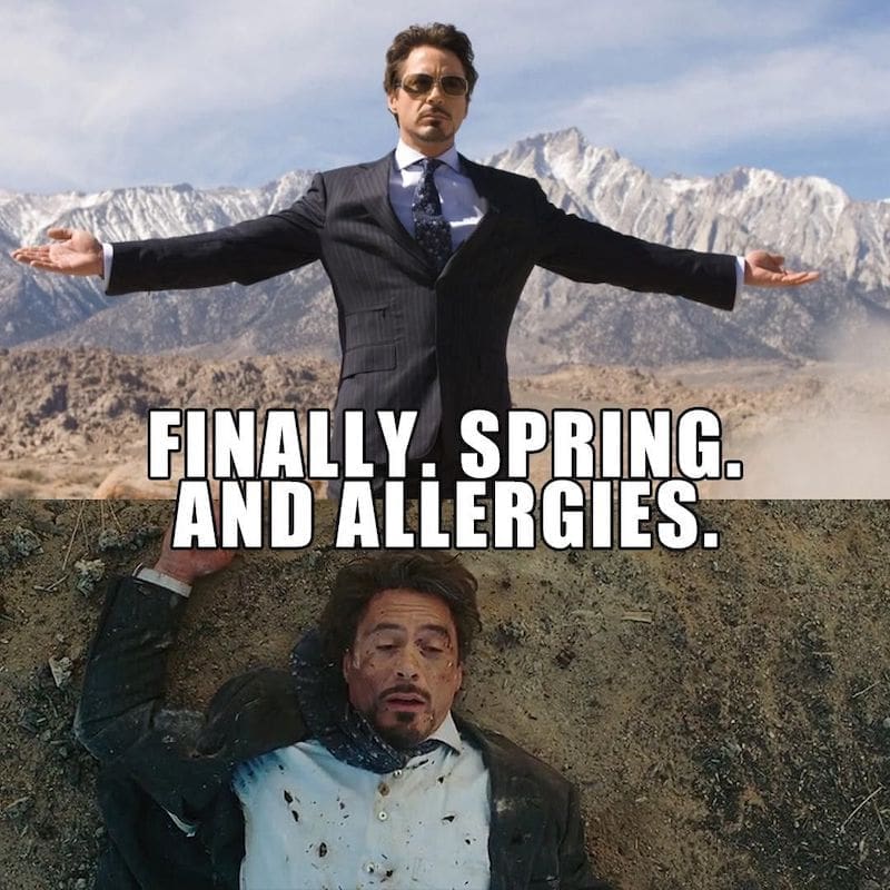 spring allergies meme Meme with a man in a suit joyfully embracing spring in the top half and lying exhausted on the ground below, with the text 'Finally, Spring. And Allergies.' highlighting the seasonal struggle with humor.