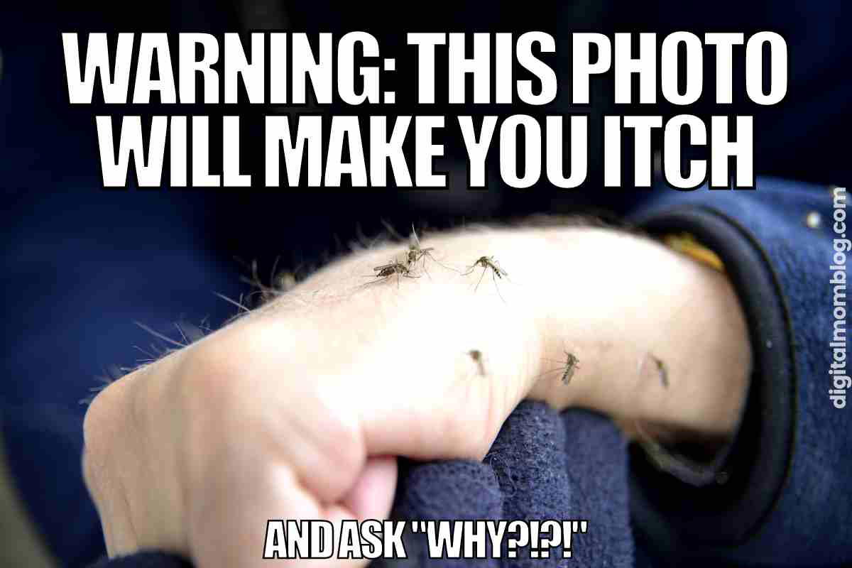 bug bite meme warning: this photo will make you itch