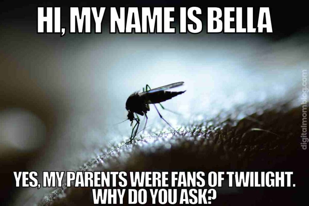 bugs with names meme twilight hi my name is bella yes, my parents were fans of twilight. why do you ask?