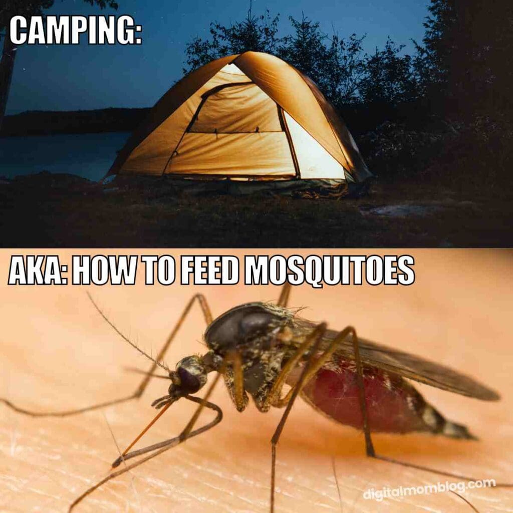 camping meme mosquitoes camping aka how to feed mosquitoes