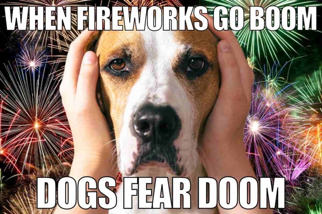 dogs fireworks meme A meme showing a worried dog being comforted during fireworks, with text saying 'When fireworks go boom, dogs fear doom.' Perfect depiction of canine concerns on display night!