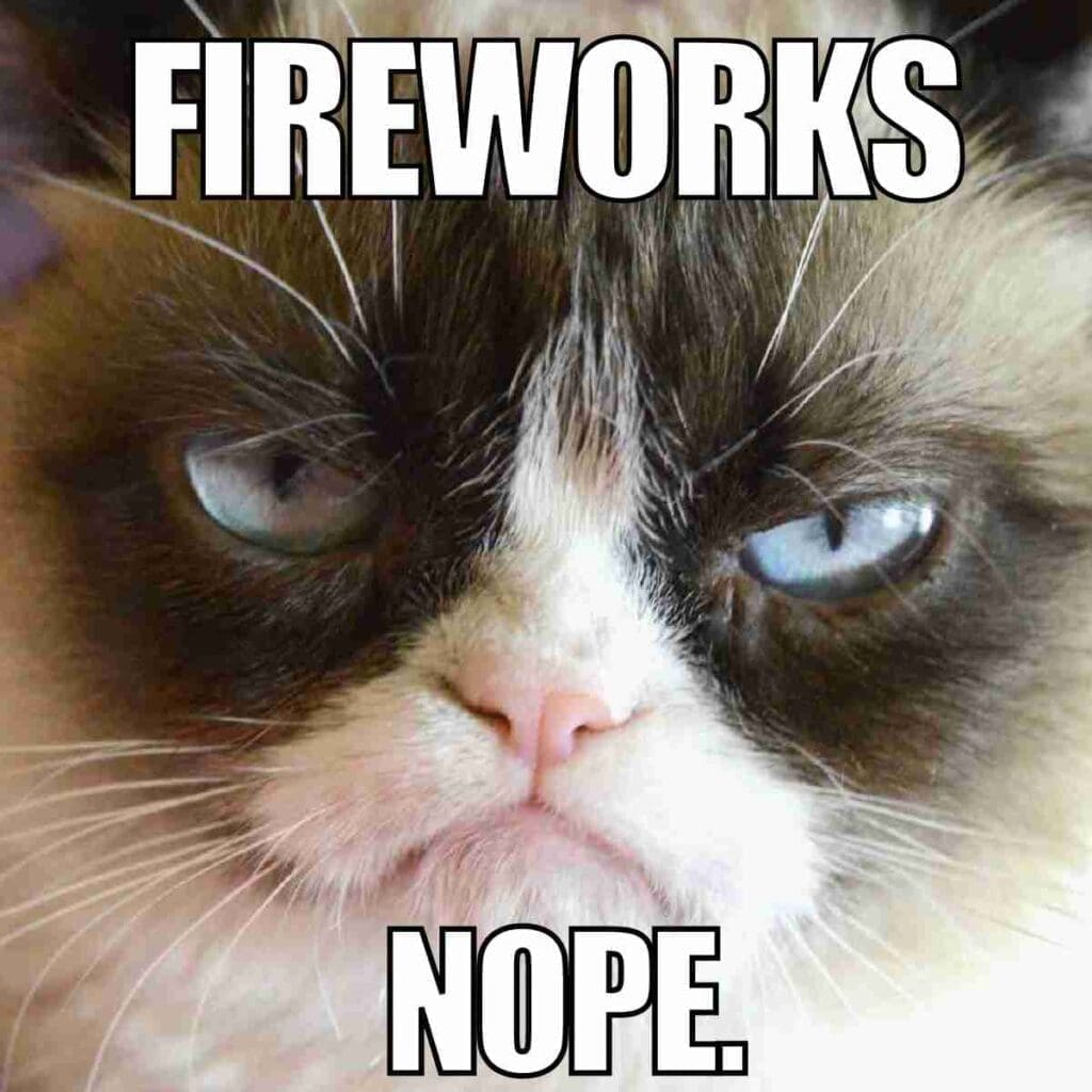 firework meme Meme featuring a grumpy cat with text saying 'FIREWORKS? NOPE.', capturing the cat's disdain for festive noises.