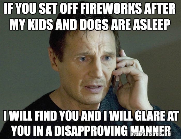 fireworks 4th of july meme Meme featuring a serious person on the phone, warning about setting off fireworks after kids and dogs are asleep, with humorous intent to glare at the offender.