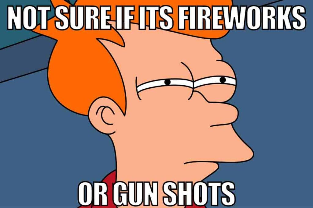 fireworks gun shots meme Meme showing a cartoon character with a skeptical expression, contemplating whether the loud noises outside are fireworks or gunshots, capturing that relatable moment of city life confusion.