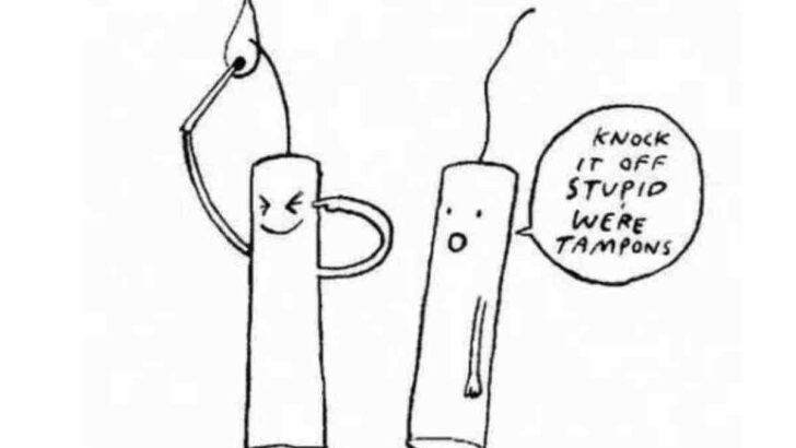 funny fireworks meme Humorous meme featuring two cartoon tampons, one with a devilish smile trying to light its string like a fuse while the other looks shocked, exclaiming, "Knock it off stupid, we're tampons."