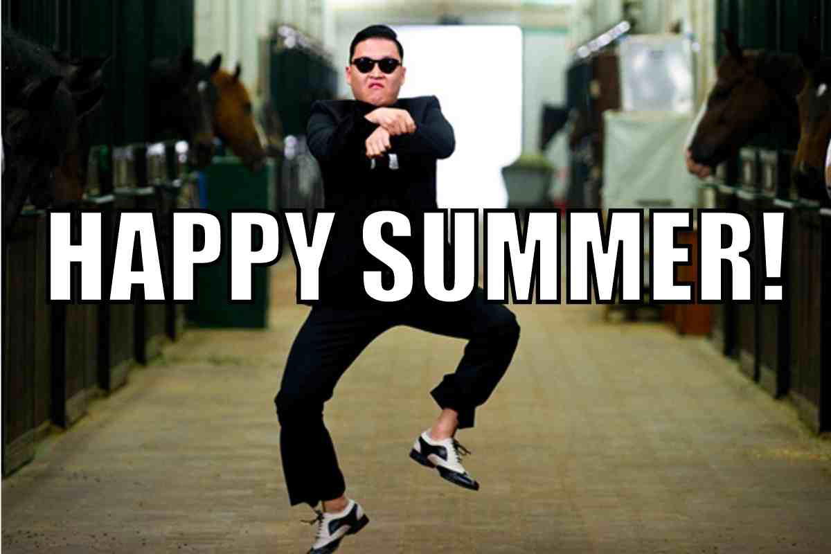 happy summer meme happy summer meme