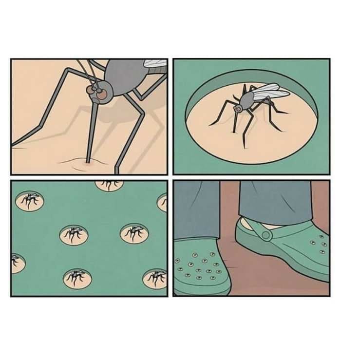 mosquito crocs meme meme about wearing crocs and mosquito bites