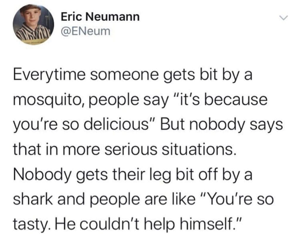 mosquito meme mosquito quote meme