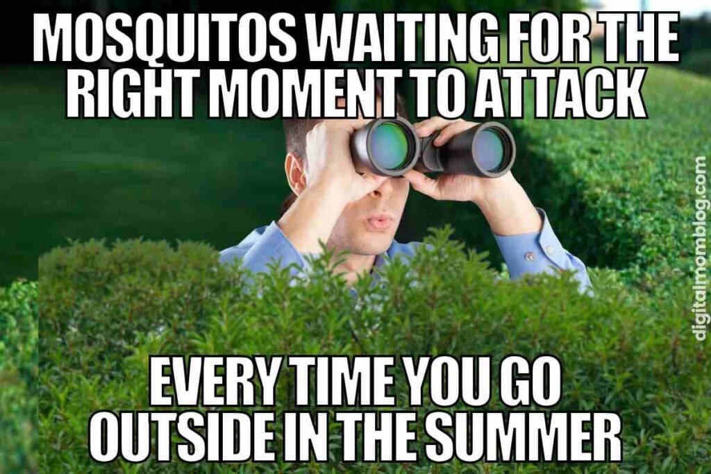 mosquito meme funny mosquitos waiting for the right moment to attack every time you go outside in the summer