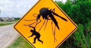 mosquito memes funny